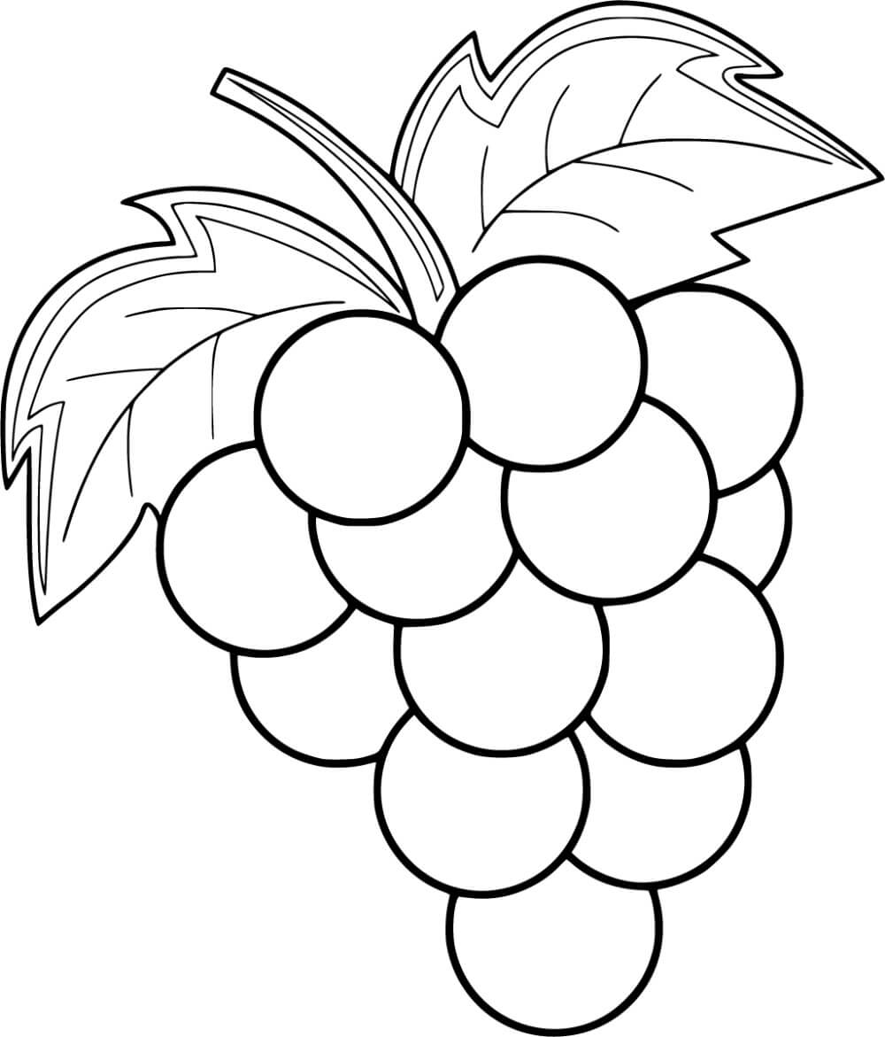 formiga-comendo-uvas-para-colorir-imprimir-e-desenhar-colorir-me