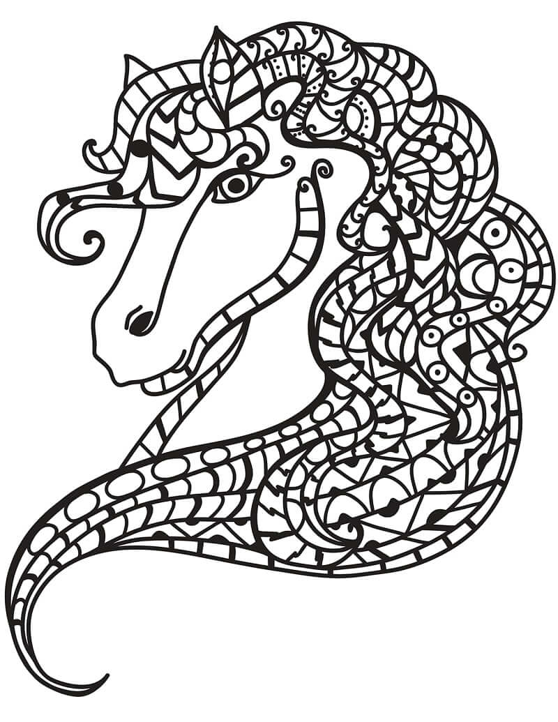 Featured image of post Cabe a Cavalo Para Colorir Desenhos legais animais para colorir moldes de desenhos ilustra es desenhos tumblr para colorir desenhos para pintura tatuagem cavalo ideias para pintura